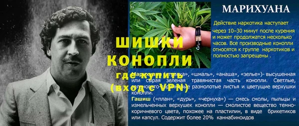 прущие грибы Абинск