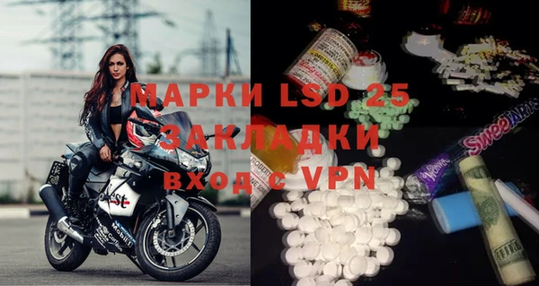 прущие грибы Абинск