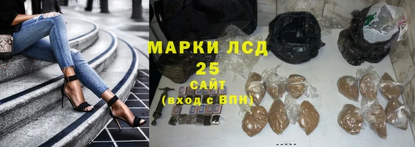 прущие грибы Абинск