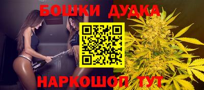 индика Моздок