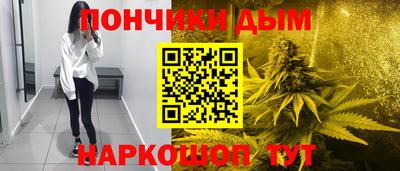 индика Моздок