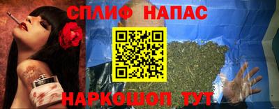 индика Моздок