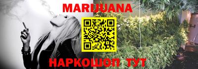 индика Моздок