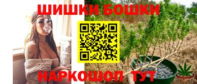 дмт Можга
