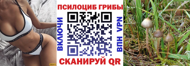 Галлюциногенные грибы мухоморы  хочу наркоту  Вичуга 