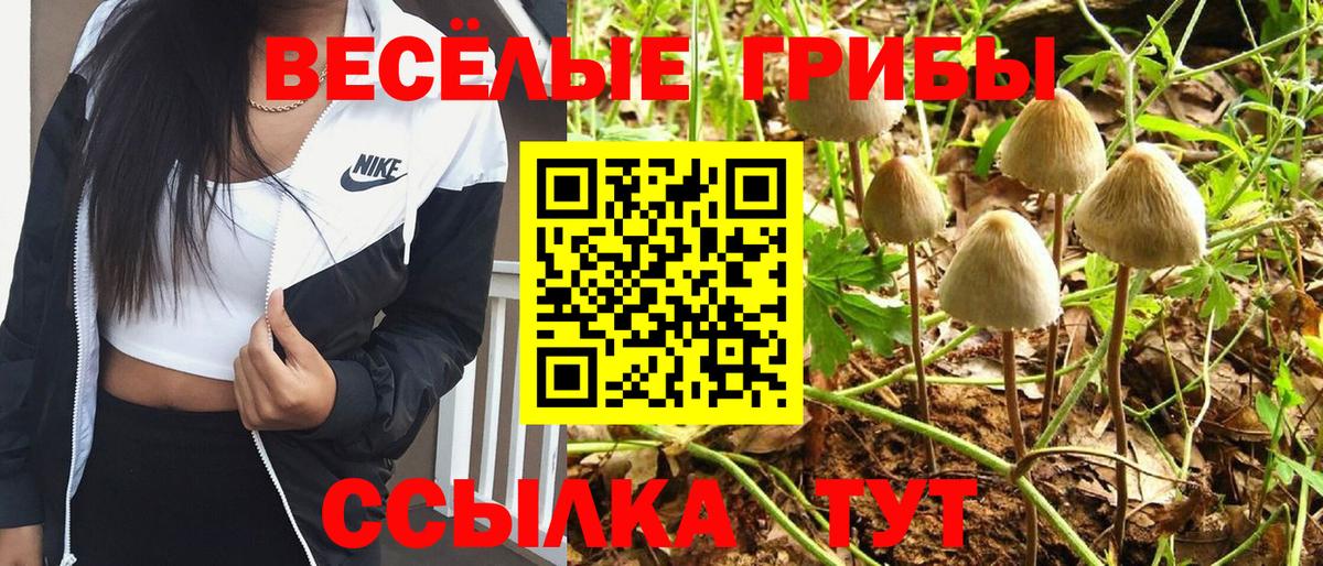 Галлюциногенные грибы MAGIC MUSHROOMS  Вход с VPN  Вичуга 