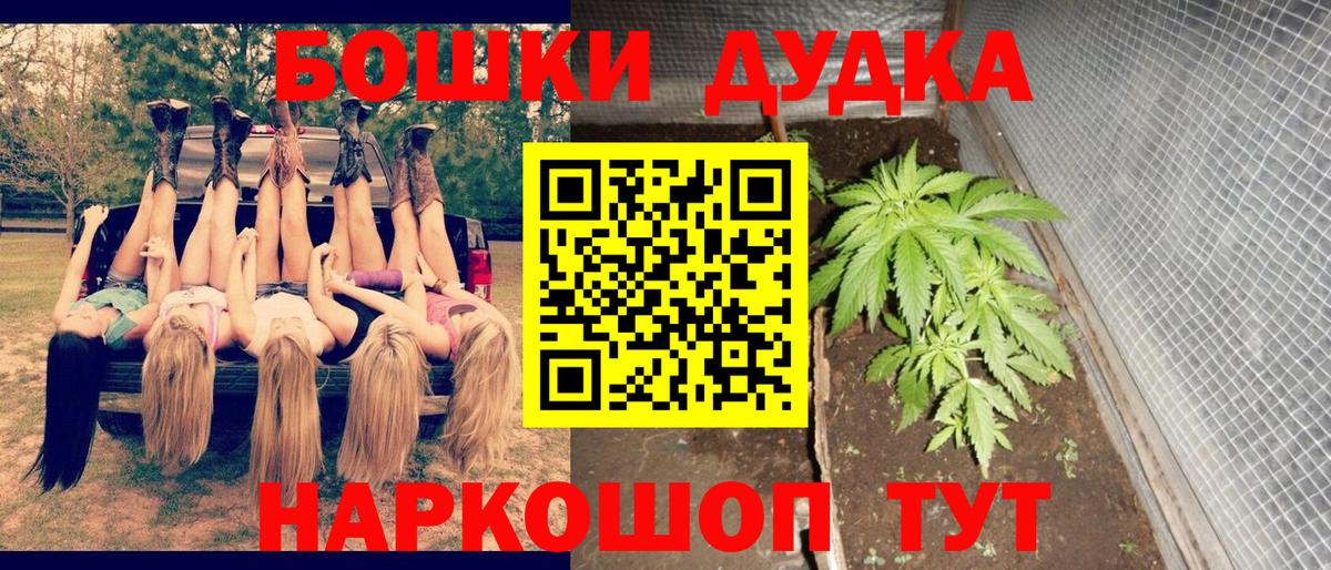 Каннабис план Вичуга